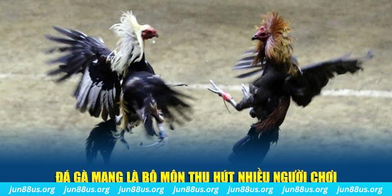 79king 4 sòng bạc Đăng ký