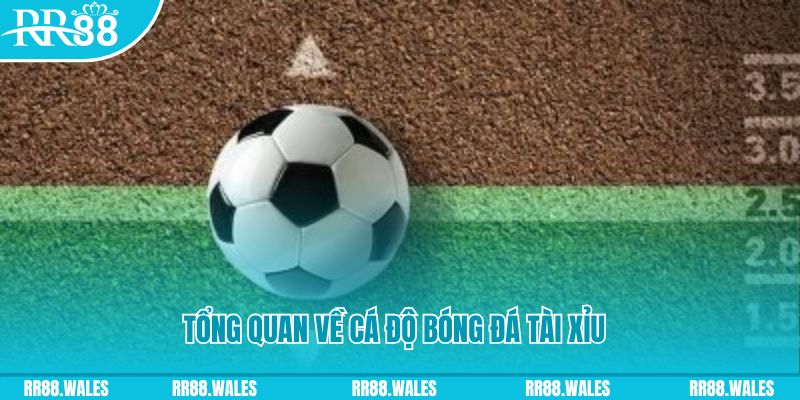 tf88v casino tỷ lệ bóng đá