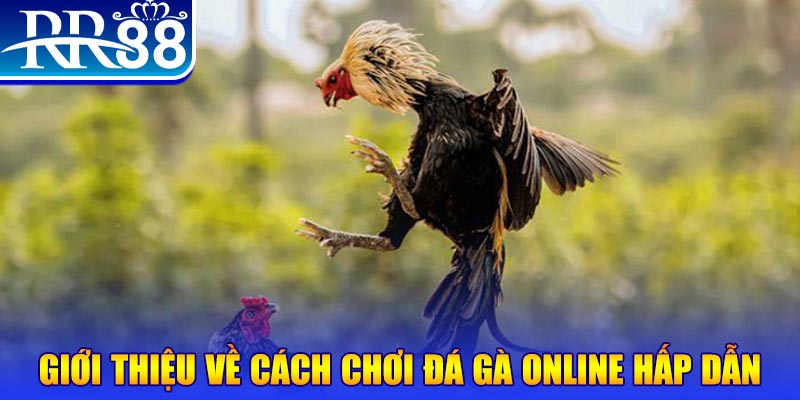 s66 plus sòng bạc ĐĂNG KÝ